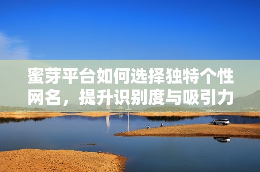 蜜芽平台如何选择独特个性网名，提升识别度与吸引力