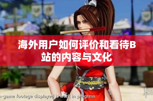 海外用户如何评价和看待B站的内容与文化